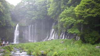 思ったより小さめ