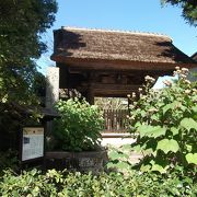 寺宝よりも景色を楽しむお寺