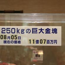 １１億円だそうです