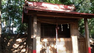 色々な意味で面白い