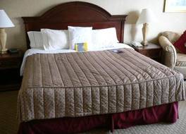 トゥエルブ アンド K