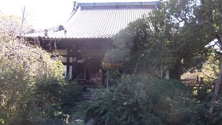 萩満開のお寺
