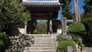 枯山水の庭園と整えられた境内