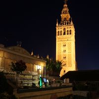 夜、プール付近から。