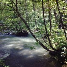 iphoneで撮ってもこの美しさ！