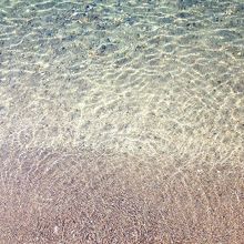 湖の底が見えます。こんな綺麗な湖ってなかなか無い！