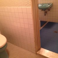 トイレの向こうに畳敷きの風呂と洗面所があります