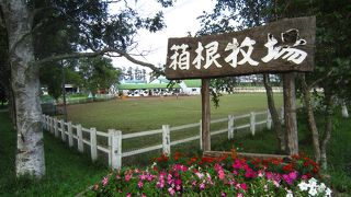 牧場体験ならここで♪