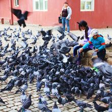 そんなに餌をやって大丈夫？？