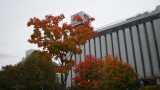 周辺の紅葉がきれい♪