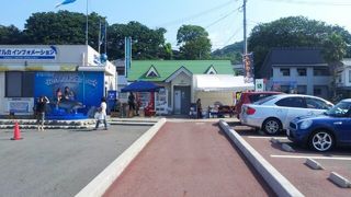 イルカウォッチングの拠点
