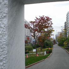 生棒から覗いた風景