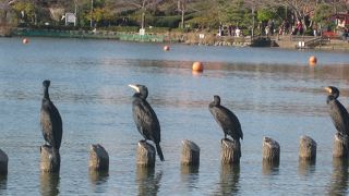 一年を通じて楽しめる場所