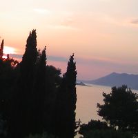 ホテルの庭からの海の景色