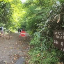 青池に向かう遊歩道の入り口