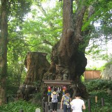 この周りだけ別世界