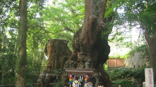 工事の音がなければ