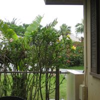 部屋のベランダからの眺め（庭）