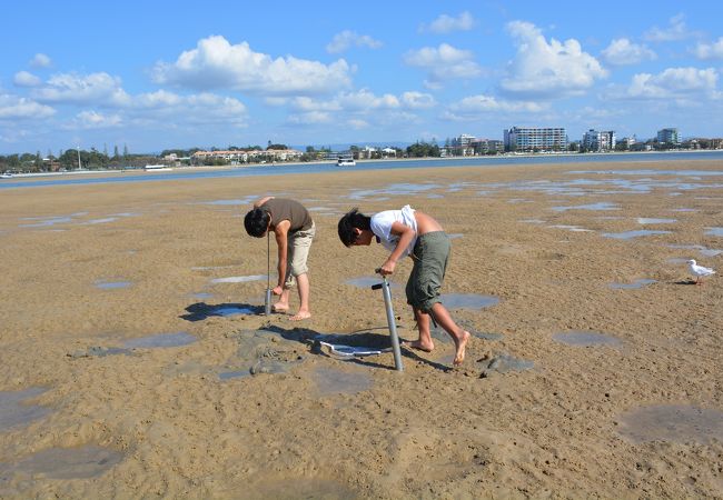 ヤムかに名所満喫クルーズ