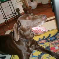 この子が受付まで案内してくれました