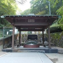 緑の中の源泉湧出口観覧所