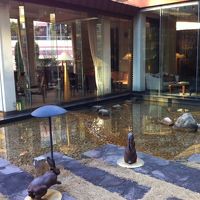 グランドクラブのうさぎさん