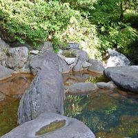 渓流の音を聞きながら気持ち良いひととき