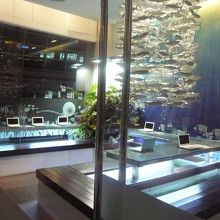 ケンコー リフレクソロジー アンド フィッシュ スパ (マリーナ ベイ サンズ店)