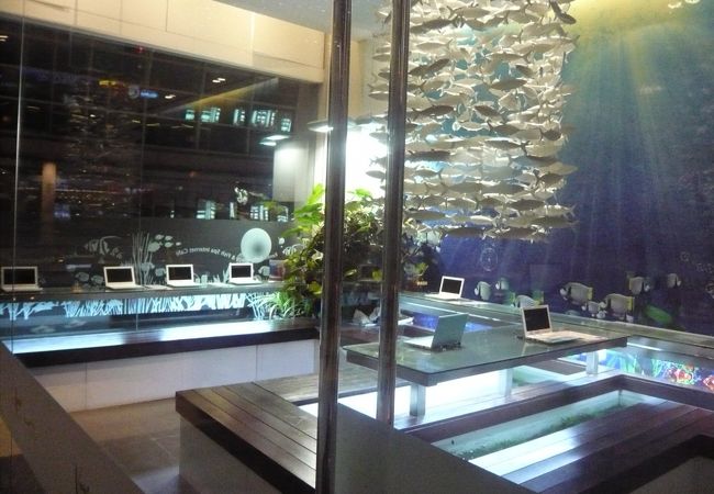 フィッシュスパ