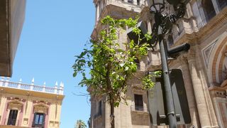 旧市街にそびえ立つカテドラル