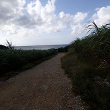 サトウキビ畑の間を抜けると・・・