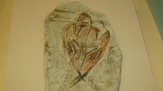 もうひと工夫欲しい