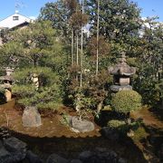 ガラス越しに見る落ち着いた雰囲気の庭園