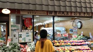 田園の風景  中洲