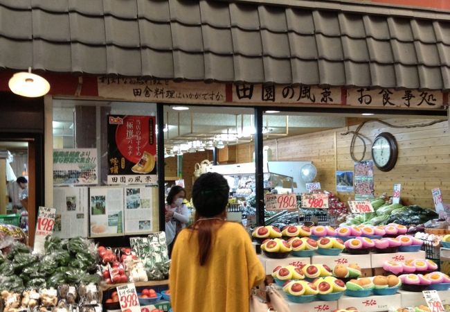 田園の風景  中洲