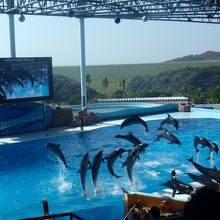 マリンライブ☆