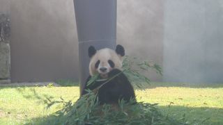 一日中飽きずに楽しめる♪