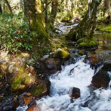沢に流れる川