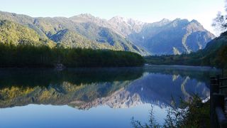 早朝がおすすめ