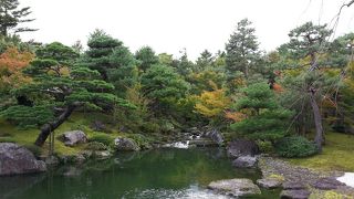 １年中　牡丹が見られる場所