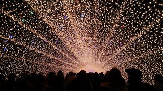 見る価値ありです