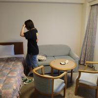 広いけれども殺風景ということない。