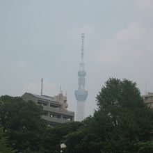 ここからも東京スカイツリーがよく見える