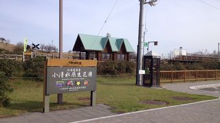 やはり花のシーズンに行かないと。