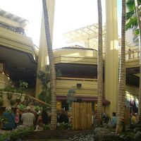 ツインタワーの間にある滝前では、ときどきフラショーなどが行わ