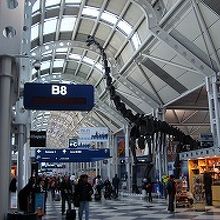 帰路のシカゴ空港のゲート　恐竜が見える