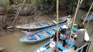 ジャングルクルーズ