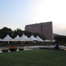 屋上のカフェはそれなりに高い