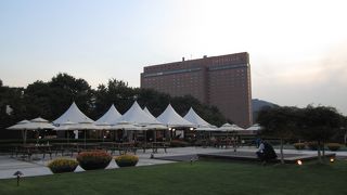 中国からのお客様でいっぱい