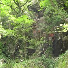 注意してみるとなんとかわかる